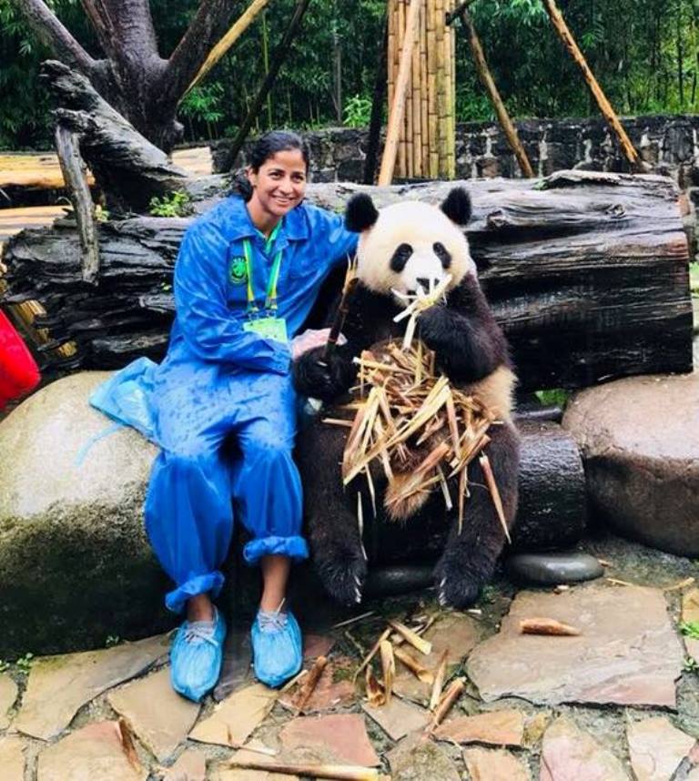 Shirley Cruz conoció en agosto los osos pandas gigantes, que poseen un área de conservación en Chengdu, ciudad de China central (foto Facebook de Shirley Cruz).
